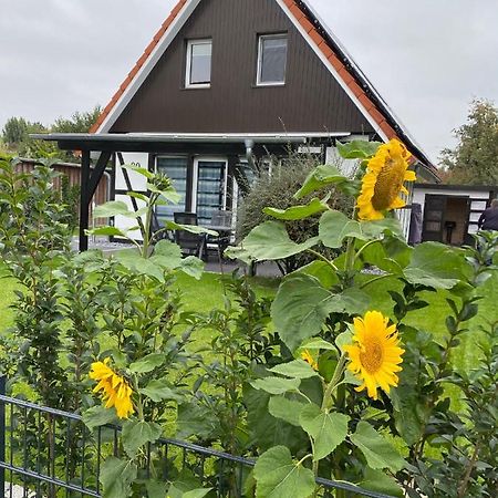 Ferienhaus Kiebitz Dorum-Neufeld Esterno foto